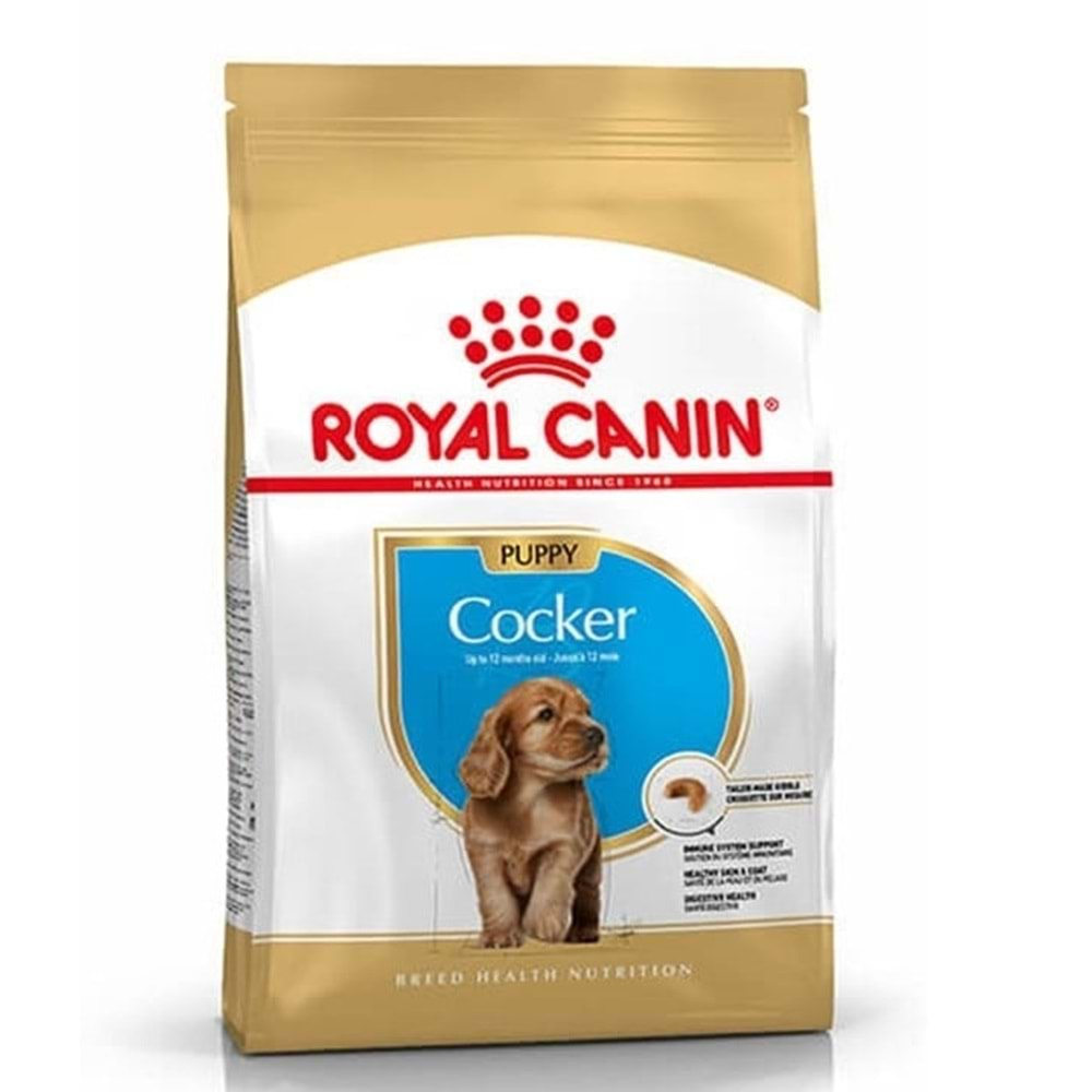 Royal Canin Cocker Puppy Yavru Köpek Maması 3Kg