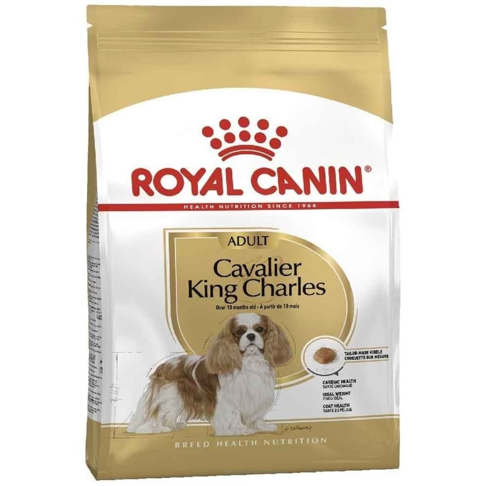 Royal Canin Cavalier King Charles Adult Yetişkin Köpek Maması 3Kg