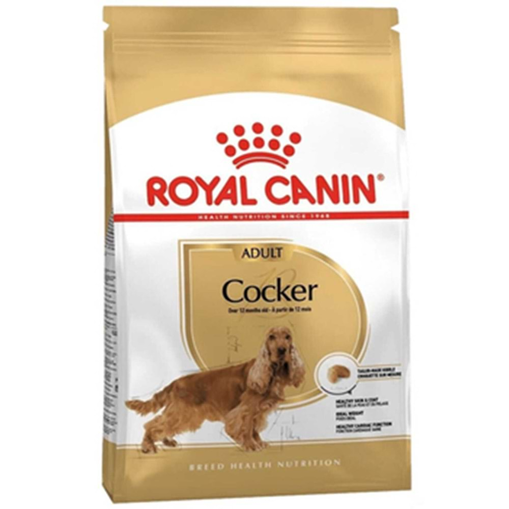 Royal Canin Cocker Yetişkin Köpek Maması 3Kg