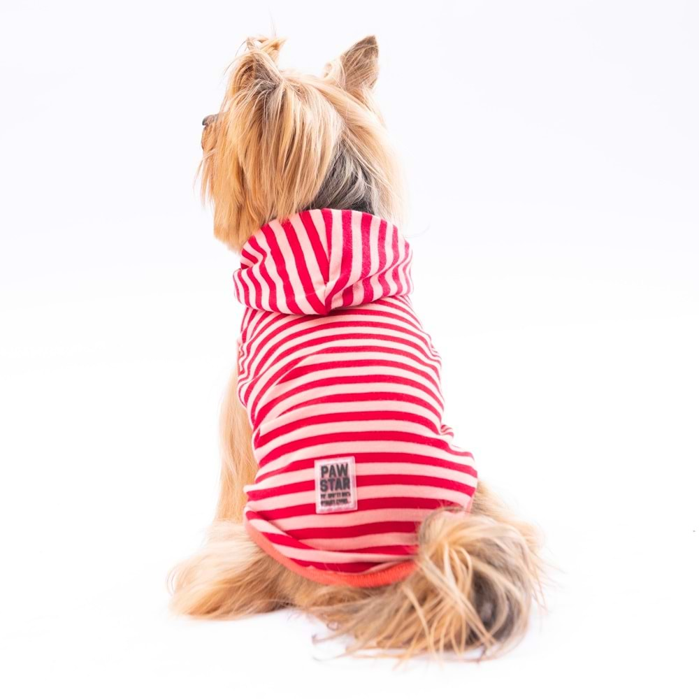 Pawstar Burgundy Sunny-L