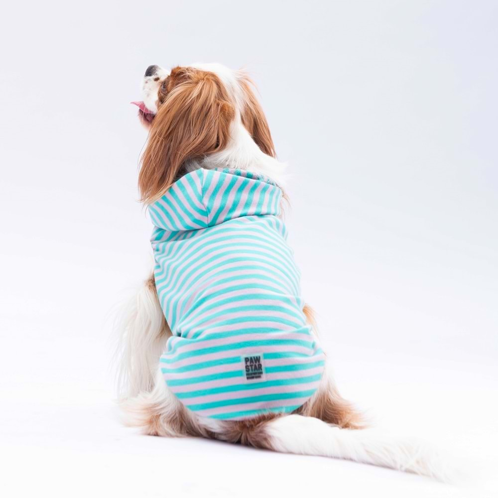 Pawstar Aqua Sunny-S