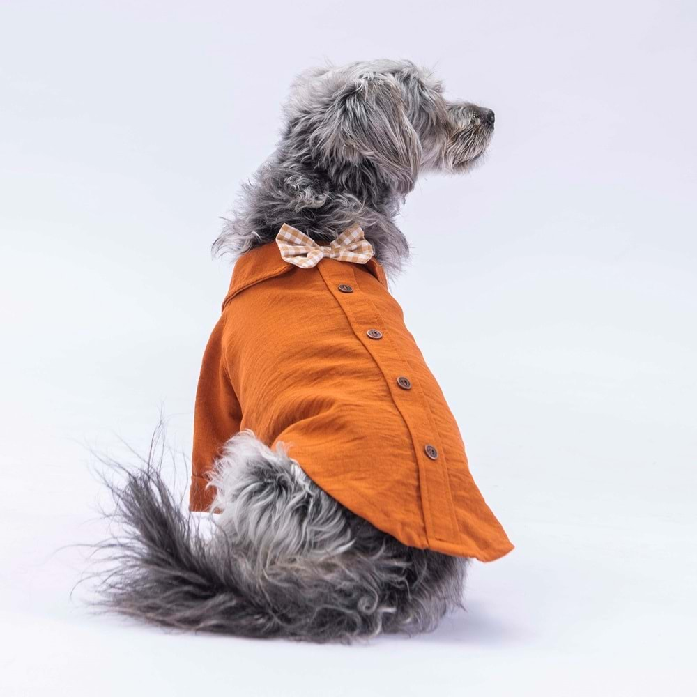 Pawstar Brown Linen Look-L