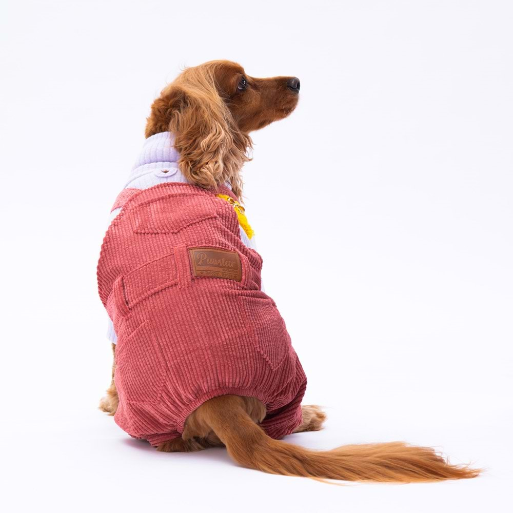 Pawstar Rose Salopet-2XL