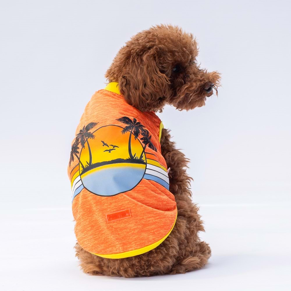 Pawstar Orange Sunsise-XL