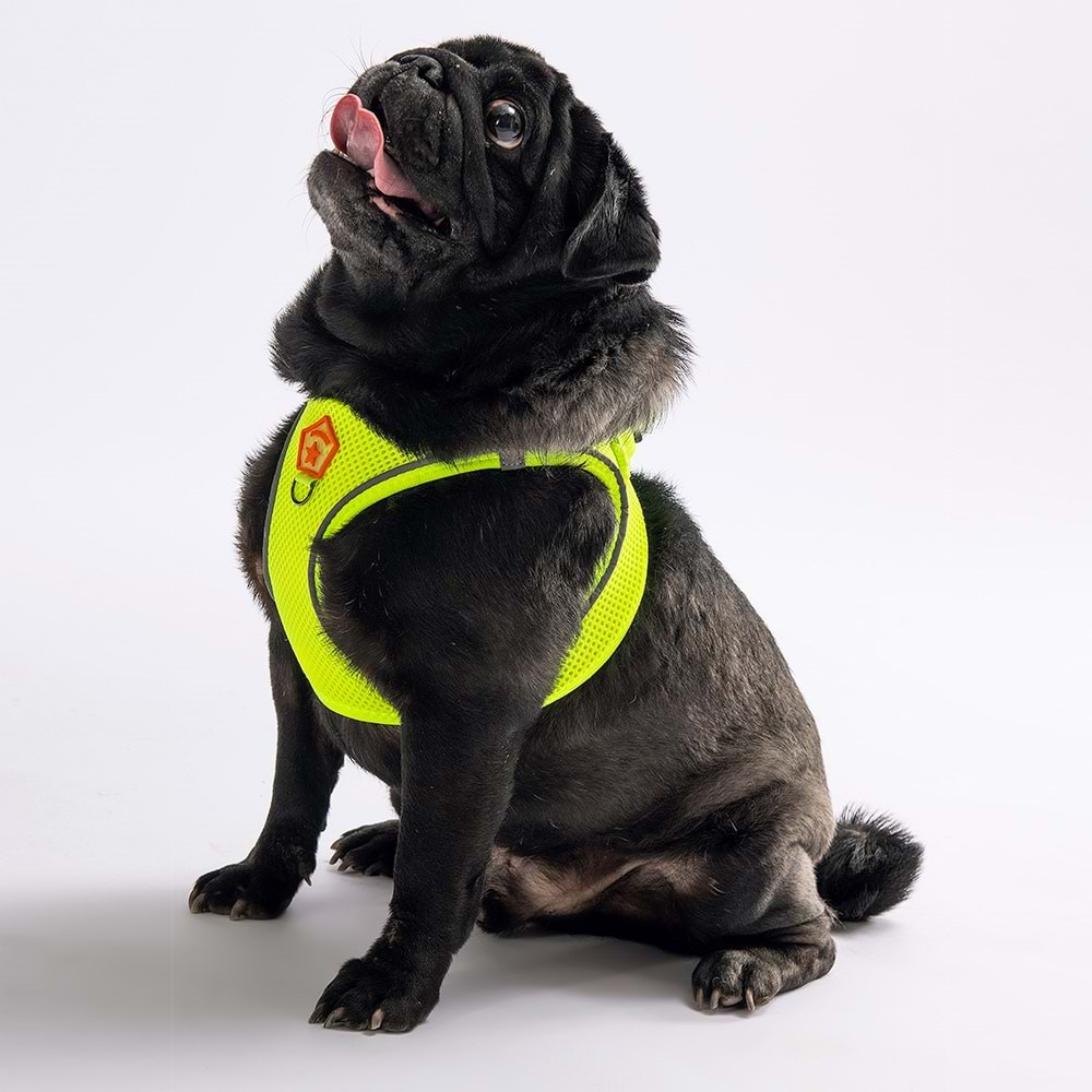 Pawstar Neon Yellow Air Mesh M