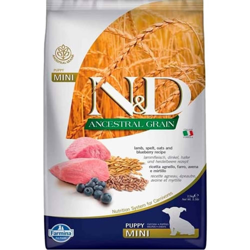 ND Ancestral Grain Düşük Tahıllı Kuzu Etli Ve Yaban Mersinli Yavru Köpek Maması 2.5Kg