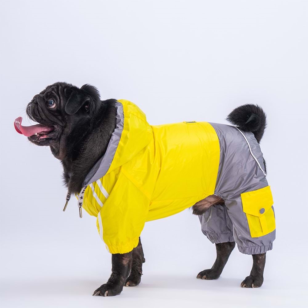 PawStar Sarı Gri Bicolor Küçük Irk Köpek Tulum Yağmurluk- M