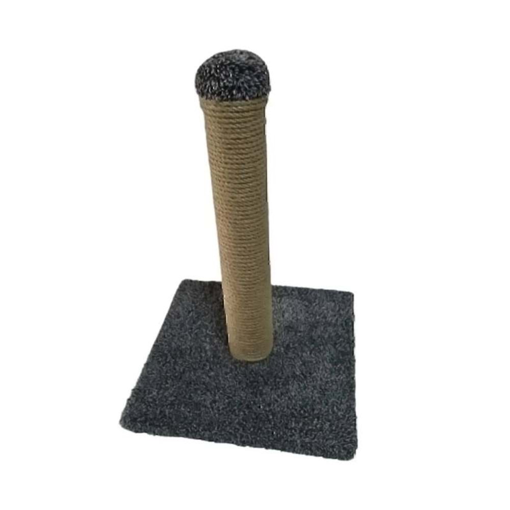 Cans 55cm Tırmalama
