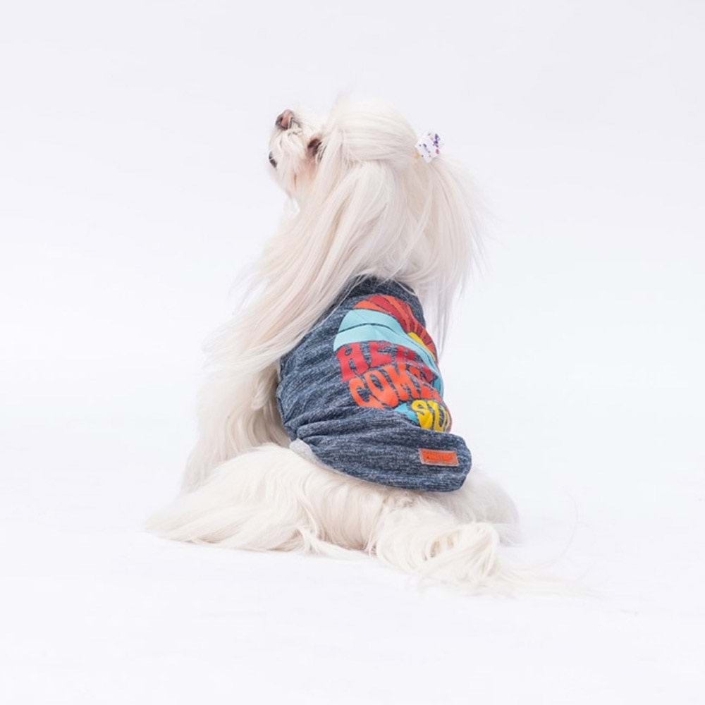 Pawstar Lacivert The Sun Tişört M Beden