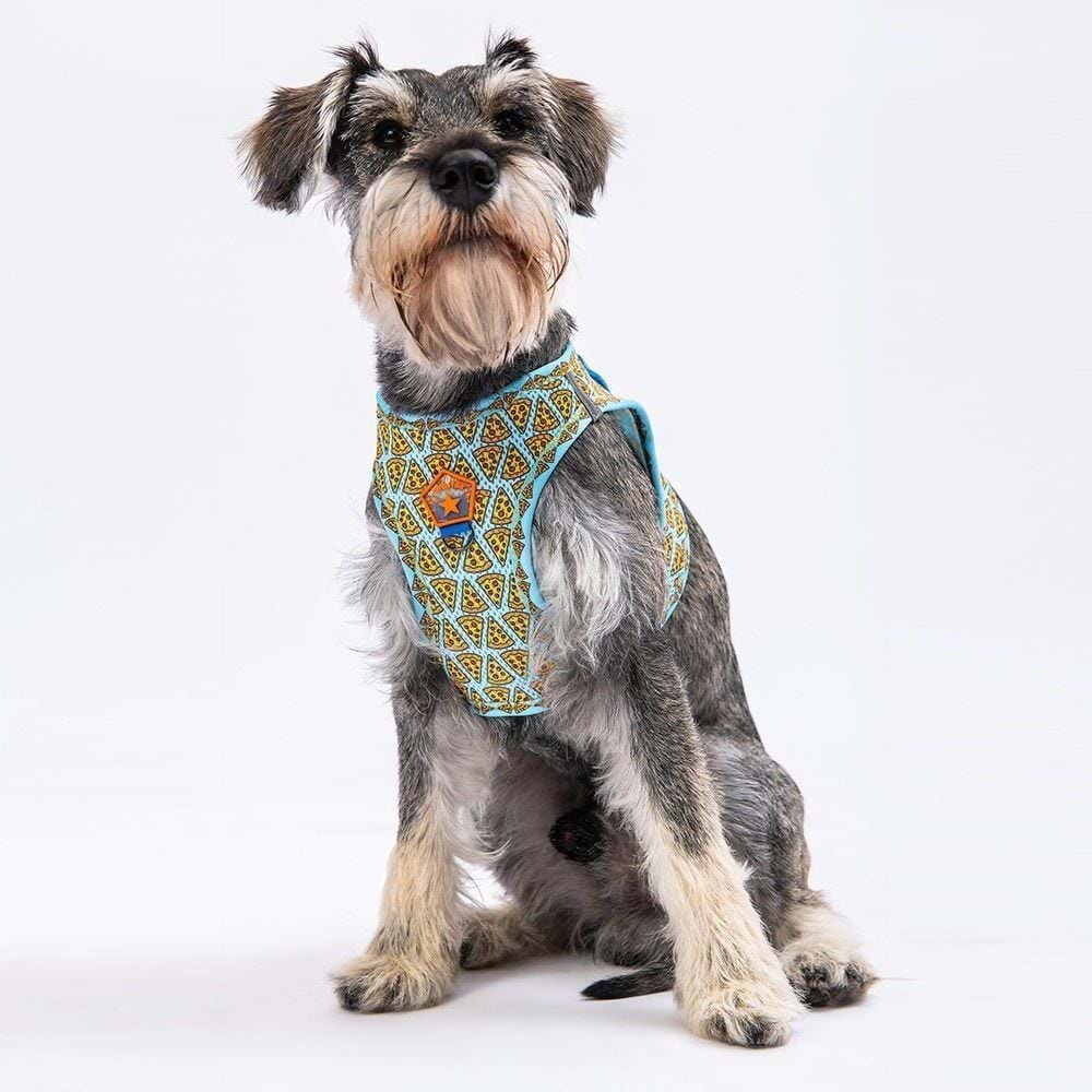 Pawstar Köpek Göğüs Tasması Pizza Desenli S Beden