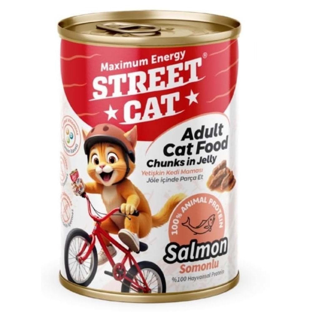STREET CAT CHUNKS İN JELLY SOMONLU KEDİ KONSERVE 400GR