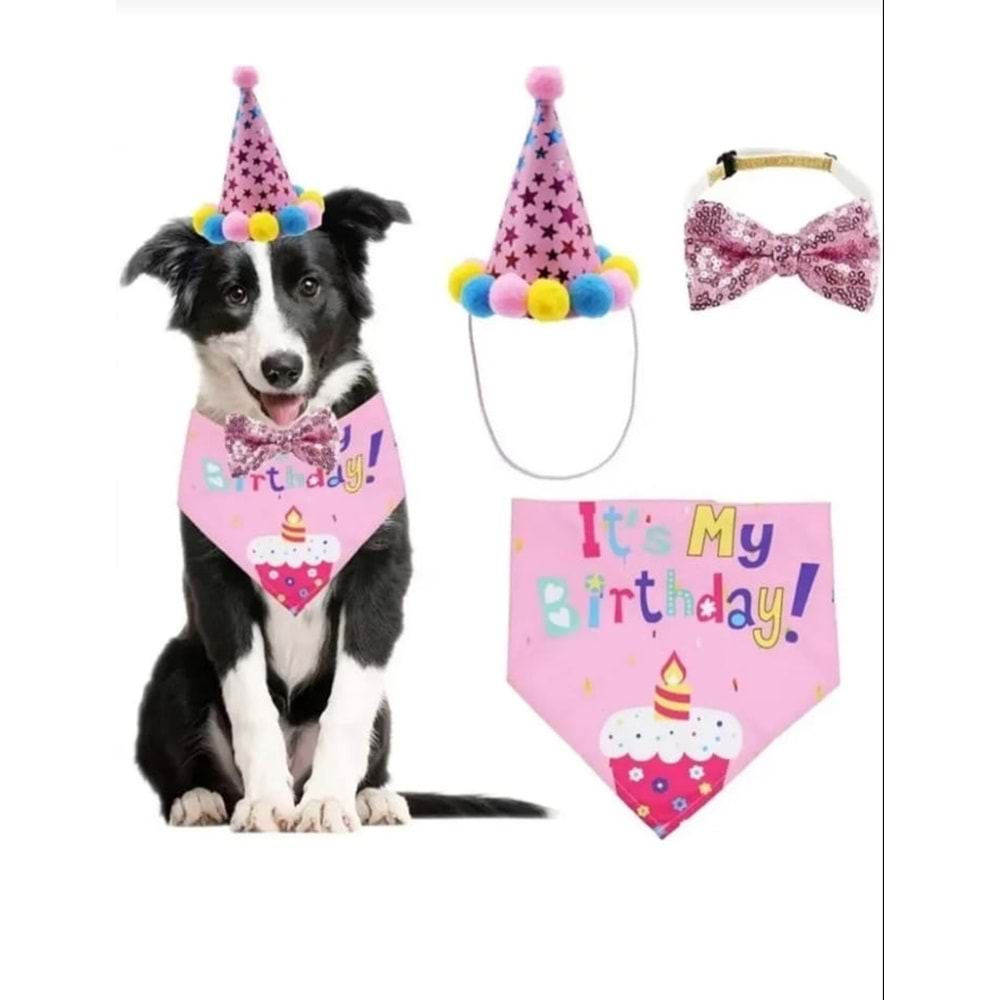 Kedi ve Köpekler İçin Doğum Günü Parti Seti DİŞİ