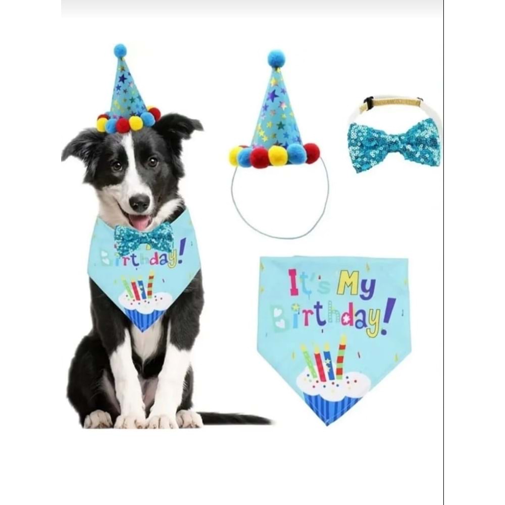Kedi ve Köpekler İçin Doğum Günü Parti Seti ERKEK