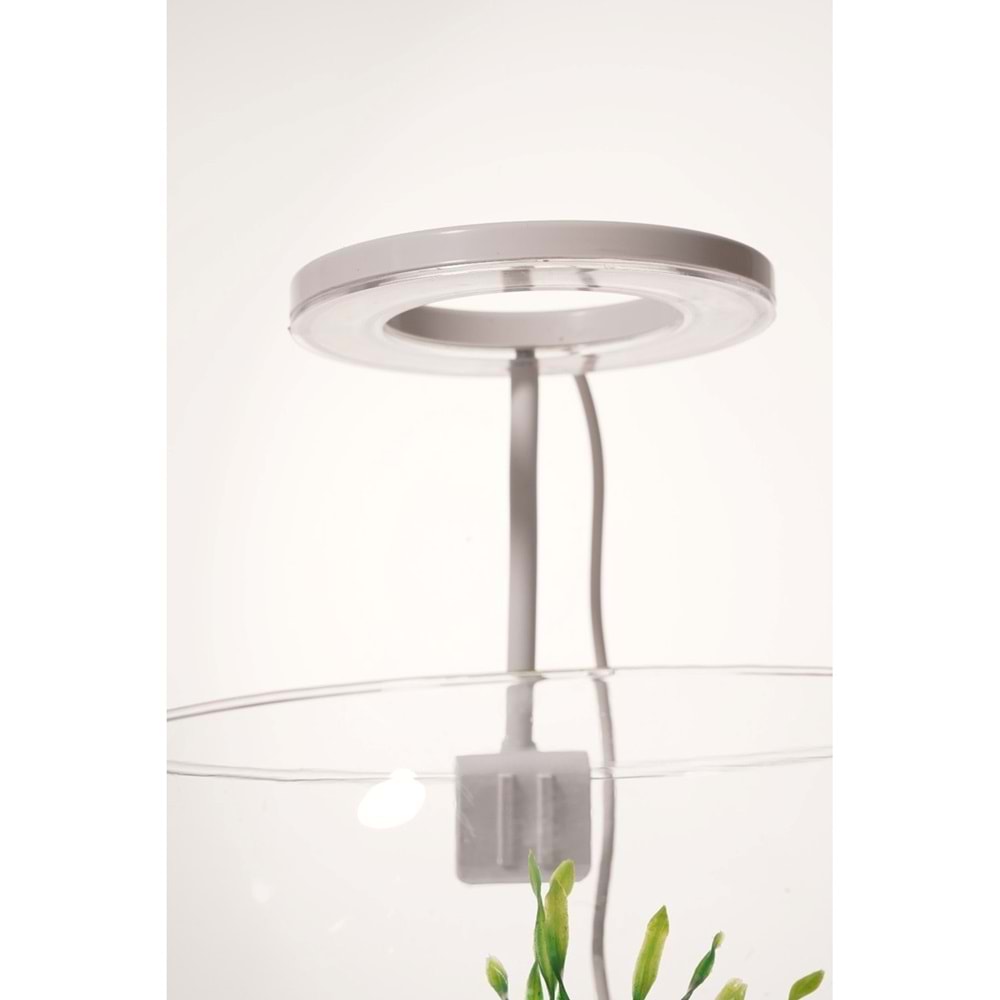 Orion Led FANUS HALKA - YUVARLAK ( SİYAH )