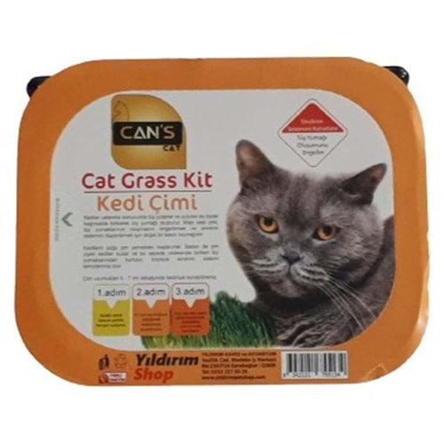 Cans Cat Kedi Çimi