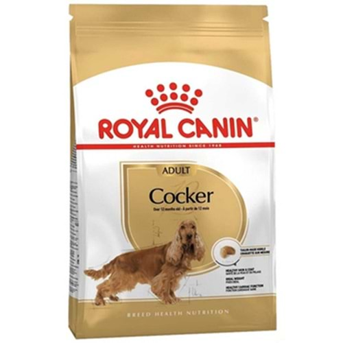 Royal Canin Cocker Yetişkin Köpek Maması 3Kg