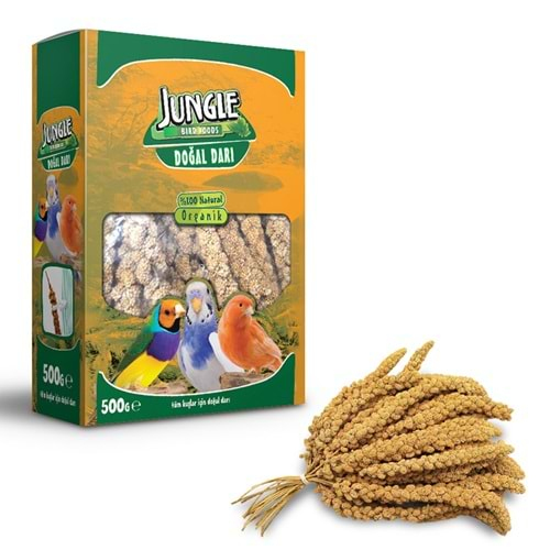 Jungle Doğal Darı 500gr