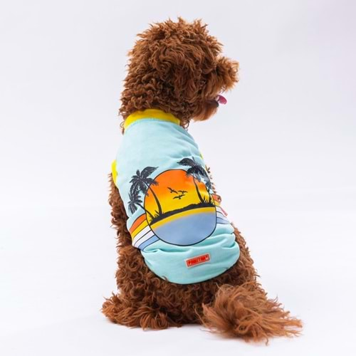 Pawstar Mint Sunrise Tişort-4XL