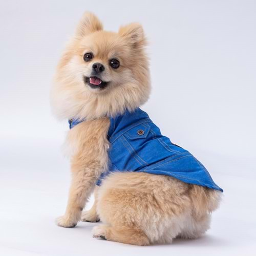 Pawstar Denim Look-2XL