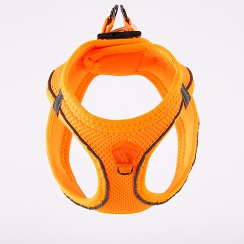 Pawstar Neon Orange Air Mesh S