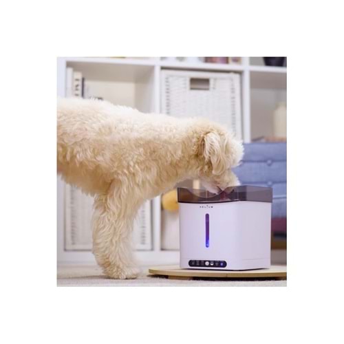 Aclıum Sensörlü Köpek Su Sebili 2,4 lt