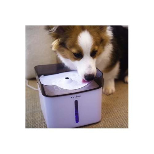 Aclıum Köpek Su Sebili 2,4 lt