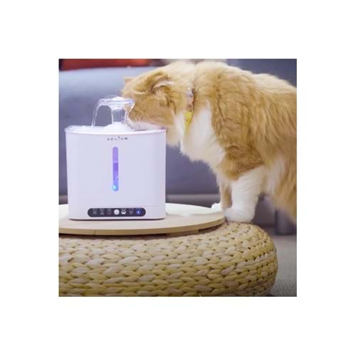 Aclıum Sensörlü Kedi Su Sebili 2,4 lt