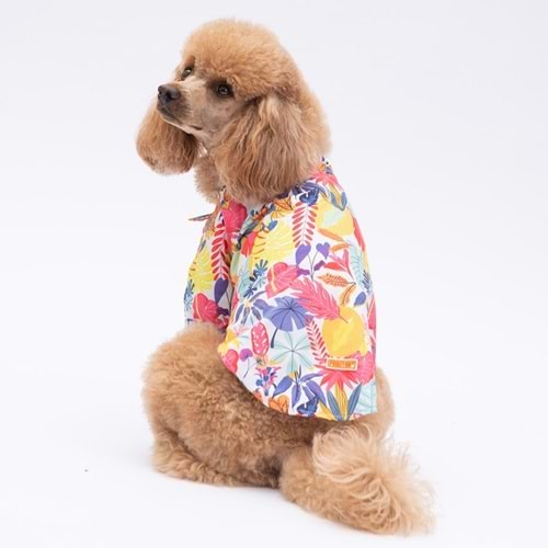 Pawstar Miami Desenli Gömlek L Beden