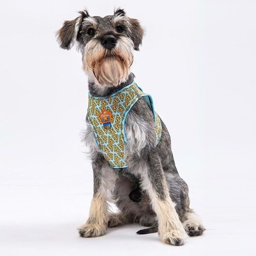 Pawstar Köpek Göğüs Tasması Pizza Desenli S Beden