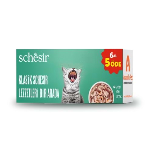 Schesir Kedi Klasik Lezzetler Bir Arada (6 Al 5 Öde)