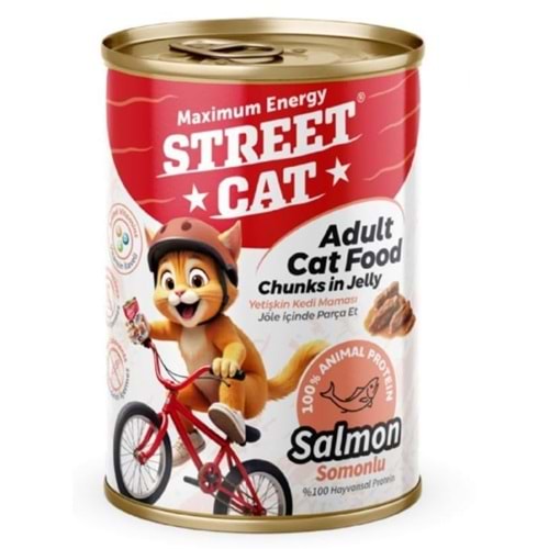 STREET CAT CHUNKS İN JELLY SOMONLU KEDİ KONSERVE 400GR
