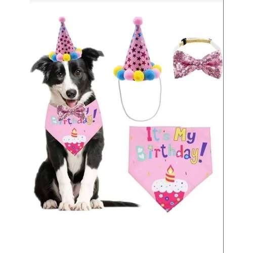Kedi ve Köpekler İçin Doğum Günü Parti Seti DİŞİ