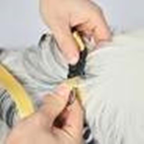 M-Pets Wild Safari Harness Köpek Göğüs Tasması 46-70cm [M]