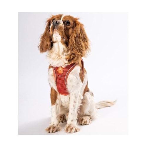 Pawstar Air-mesh Göğüs Tasması Kedi Köpek Göğüs Tasması 2XS