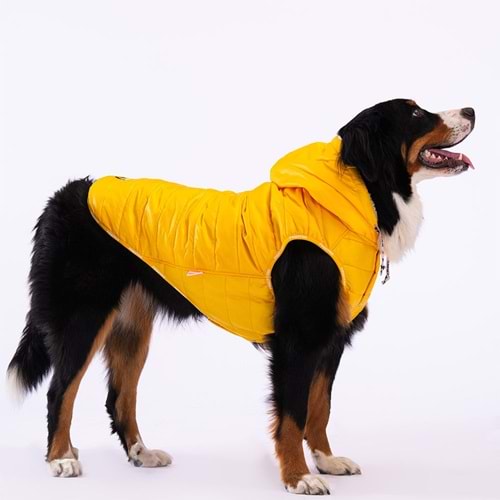 Pawstar Sarı Railway Büyük Irk Yelek 4XL