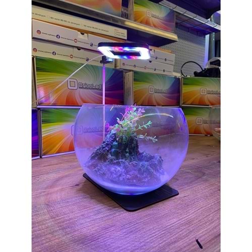 ORİON LED FANUS BEYAZ KARE AYDINLATMA