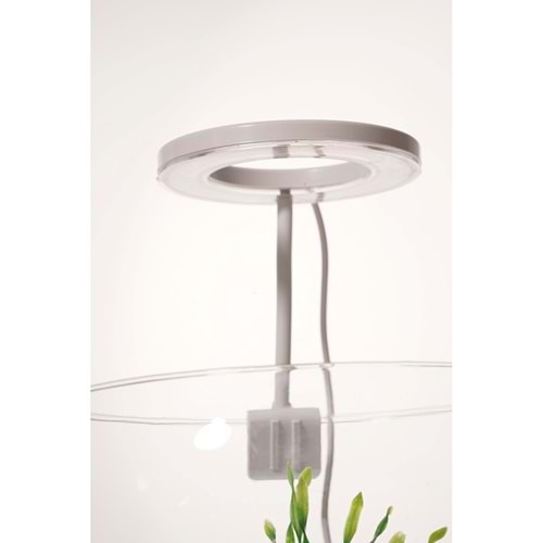 ORİON LED FANUS BEYAZ HALKA - YUVARLAK