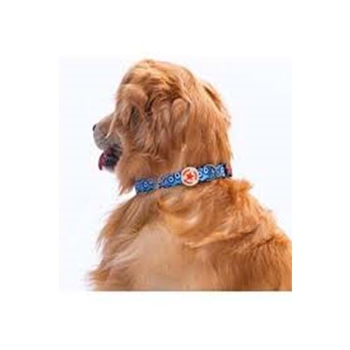 Pawstar Desenli Köpek Kp Boyun Tasması Mushroom S 1,5*26-38 CM
